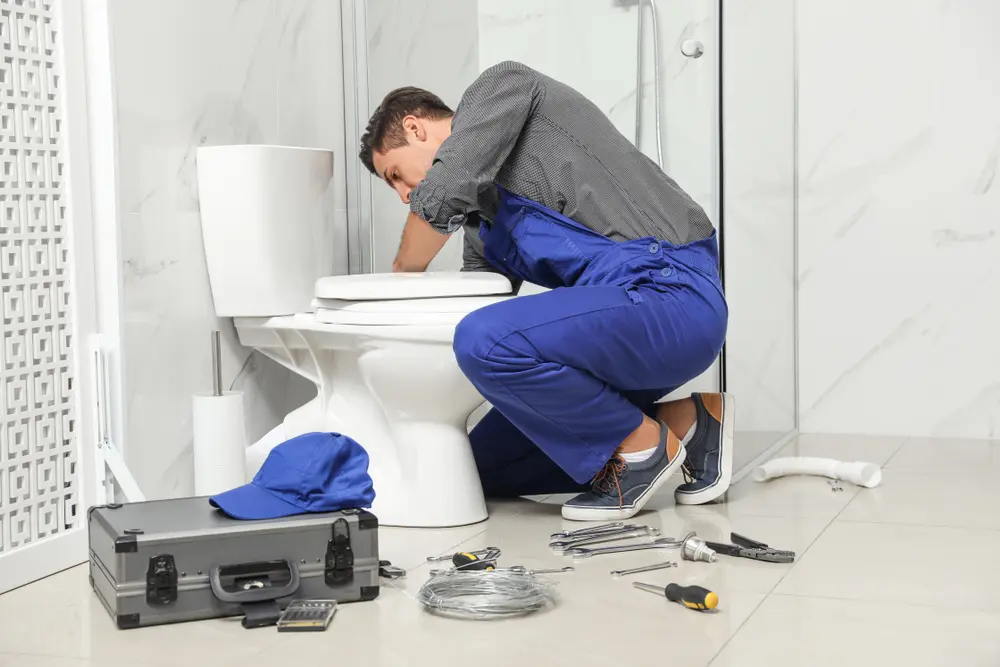Toilet Repair in Anacua